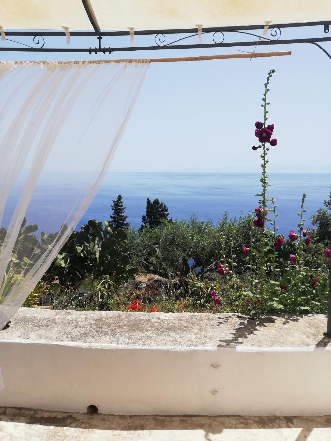 Alicudi Giardino Dei Carrubi- Al Gradino 365 Bed & Breakfast Exterior photo